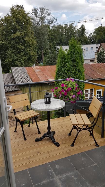 Inga Vacation House دروسكينينكاي المظهر الخارجي الصورة