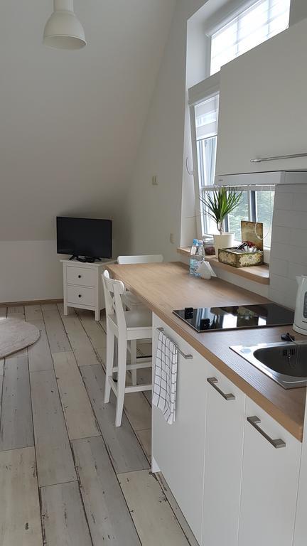 Inga Vacation House دروسكينينكاي المظهر الخارجي الصورة