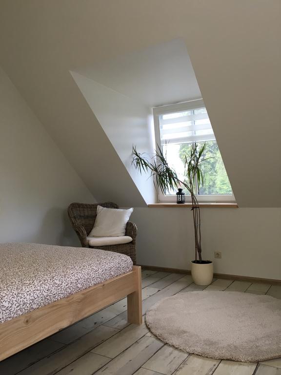 Inga Vacation House دروسكينينكاي المظهر الخارجي الصورة
