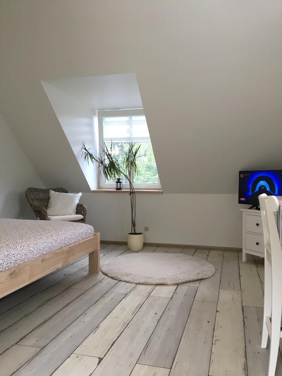 Inga Vacation House دروسكينينكاي المظهر الخارجي الصورة