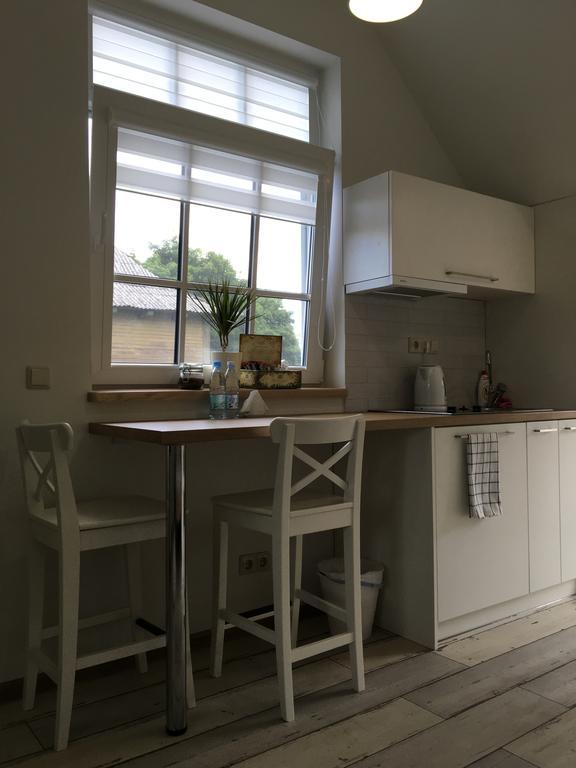 Inga Vacation House دروسكينينكاي المظهر الخارجي الصورة